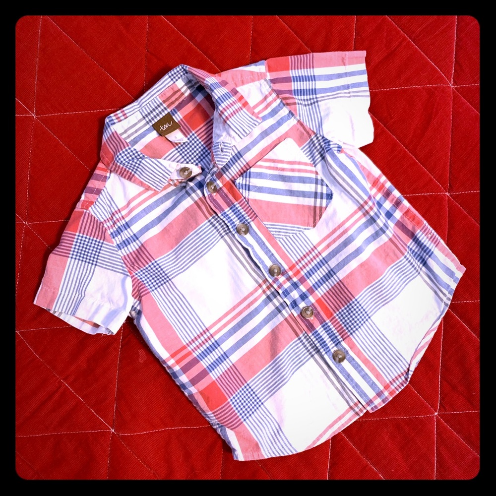 Tea Collection, 2t button down